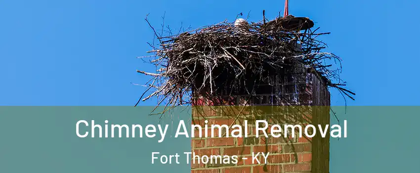  Chimney Animal Removal Fort Thomas - KY