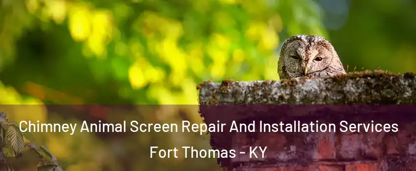  Chimney Animal Screen Repair And Installation Services Fort Thomas - KY
