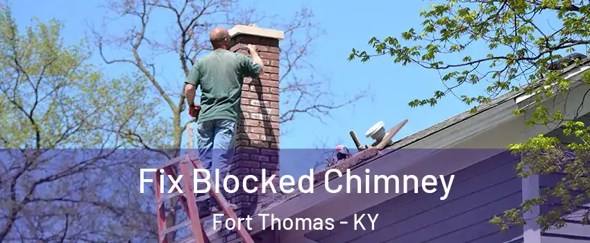  Fix Blocked Chimney Fort Thomas - KY