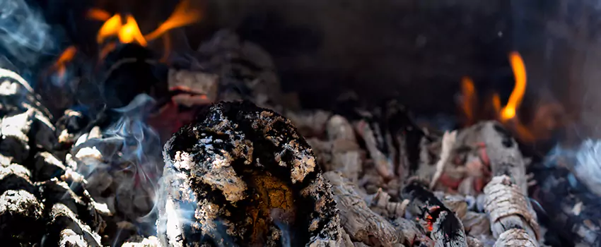 Creosote Removal Experts in Fort Thomas, KY